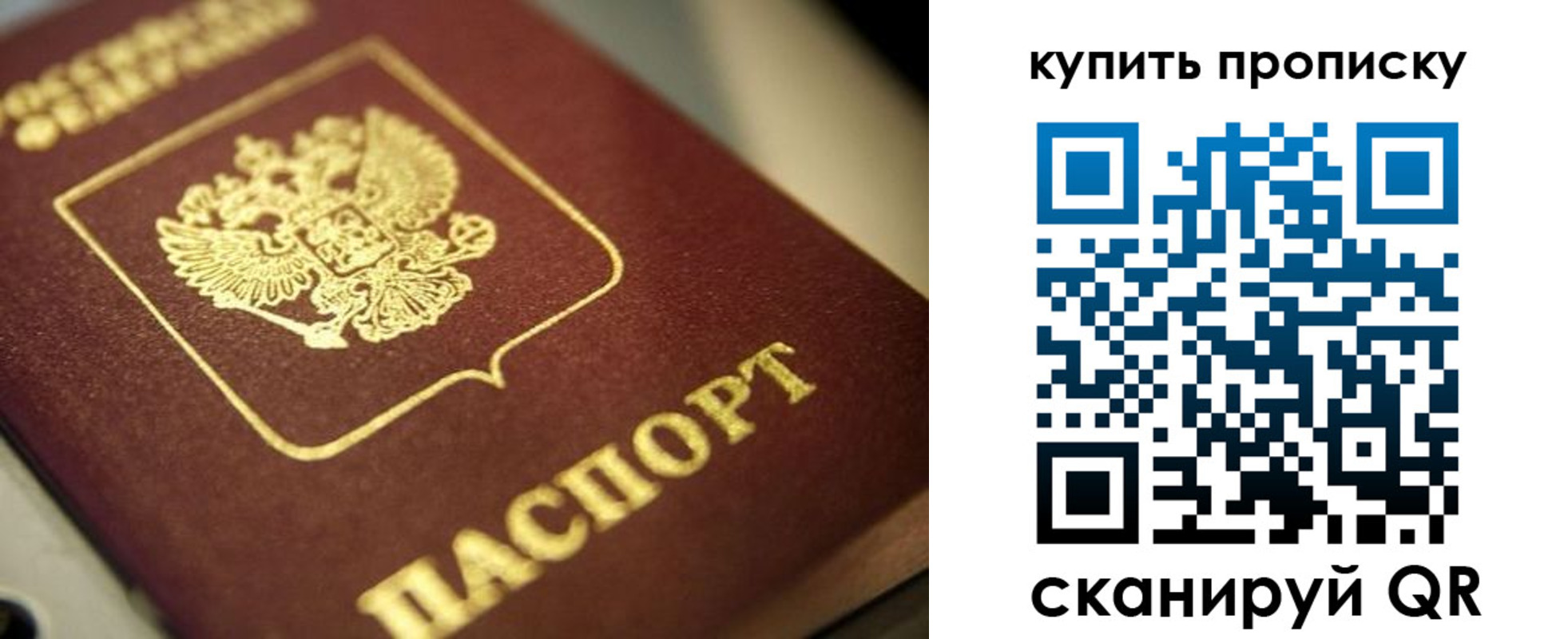 прописка поиск в Шелехове